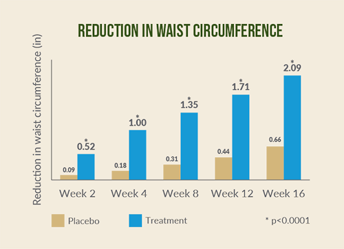 adipromin clinical results - reduction in waist circumference